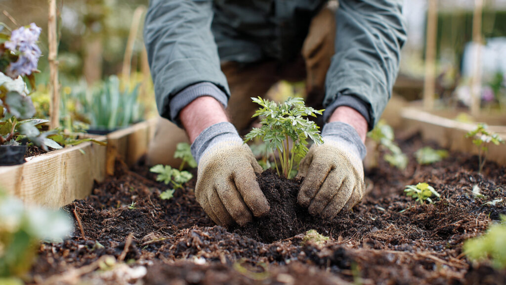 10 must-do gardening jobs to do in February