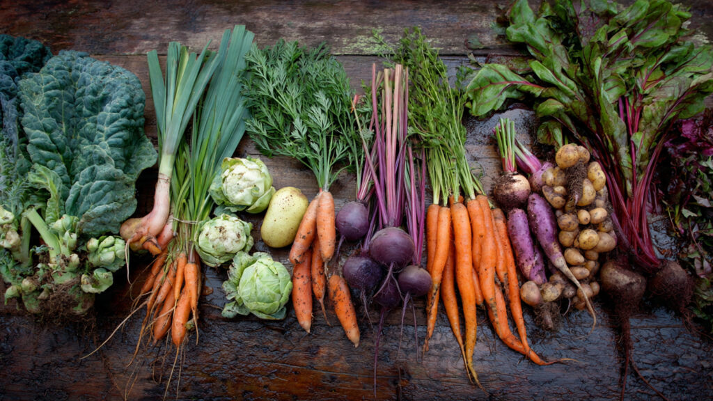 18 Vegetables to Sow in January & February No Matter Your Growing Zone