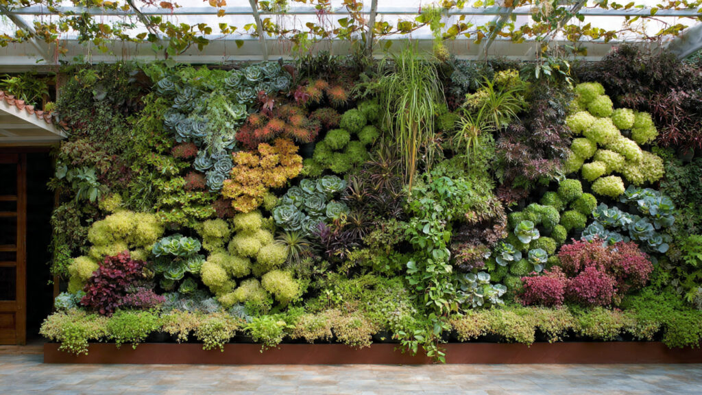 Amazing Vegetable Garden on the Wall