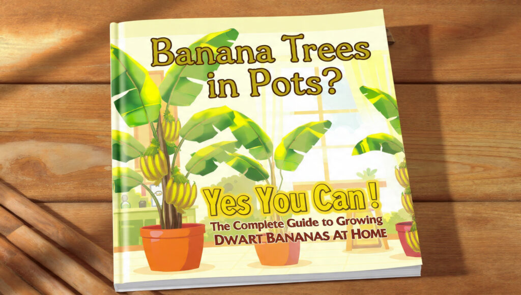 Banana Trees in Pots? Yes You Can! The Complete Guide to Growing Dwarf Bananas at Home
