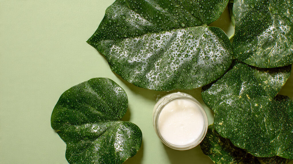 Can Milk Be the Secret Solution to Banish Mildew from Your Flower Leaves?