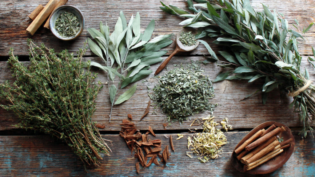 Can You Create a Fragrant Garden From Cuttings Alone?