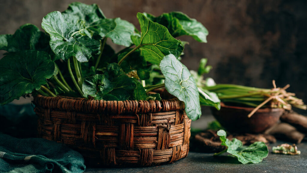 Can You Really Grow Poi Saag Indoors? Discover This Easy Hack!