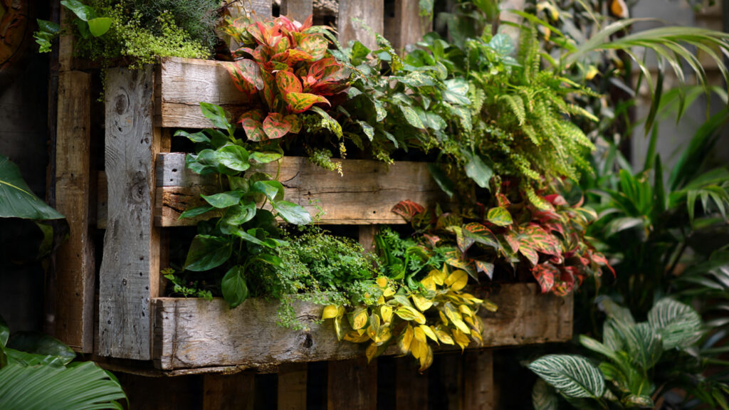 Can You Transform Simple Pallets into a Stunning Vertical Garden?