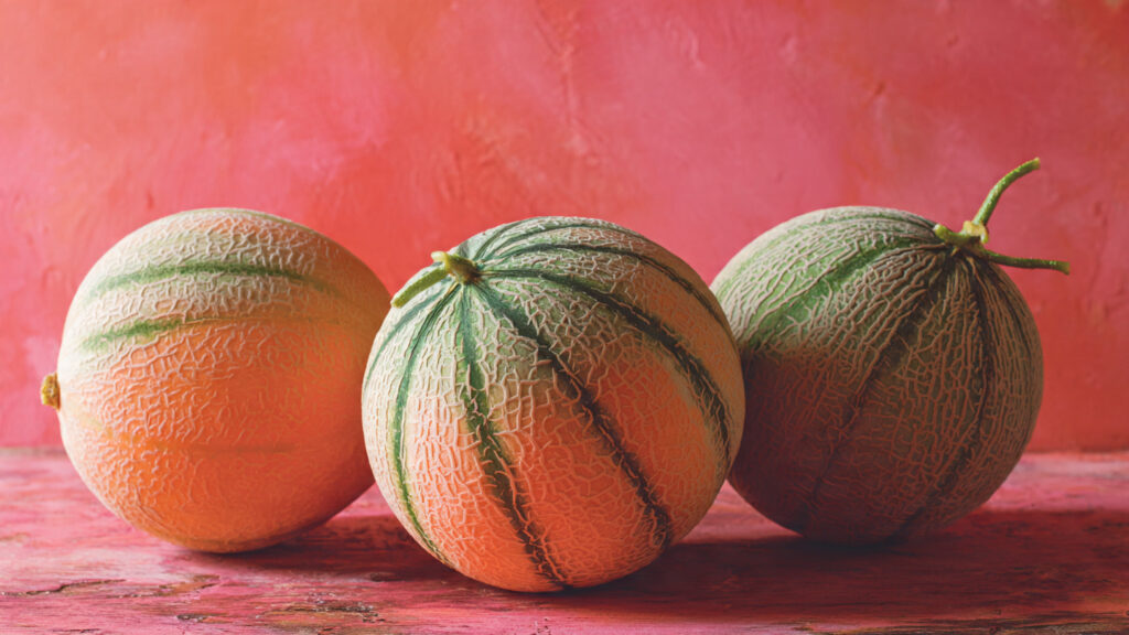 Homegrown Melons Made Easy: A Beginner’s Guide to Sweet, Juicy Harvests