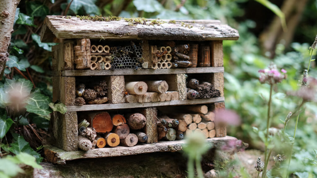 How Can a Bug Hotel Help Your Garden Thrive in Summer Heat?