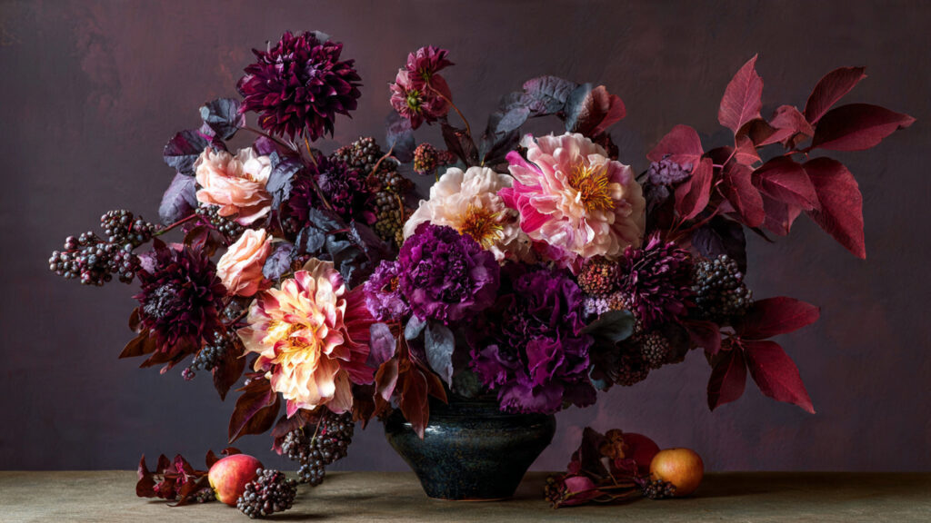 How Can You Achieve Stunning Flowers with Bold Deep Burgundy Foliage?