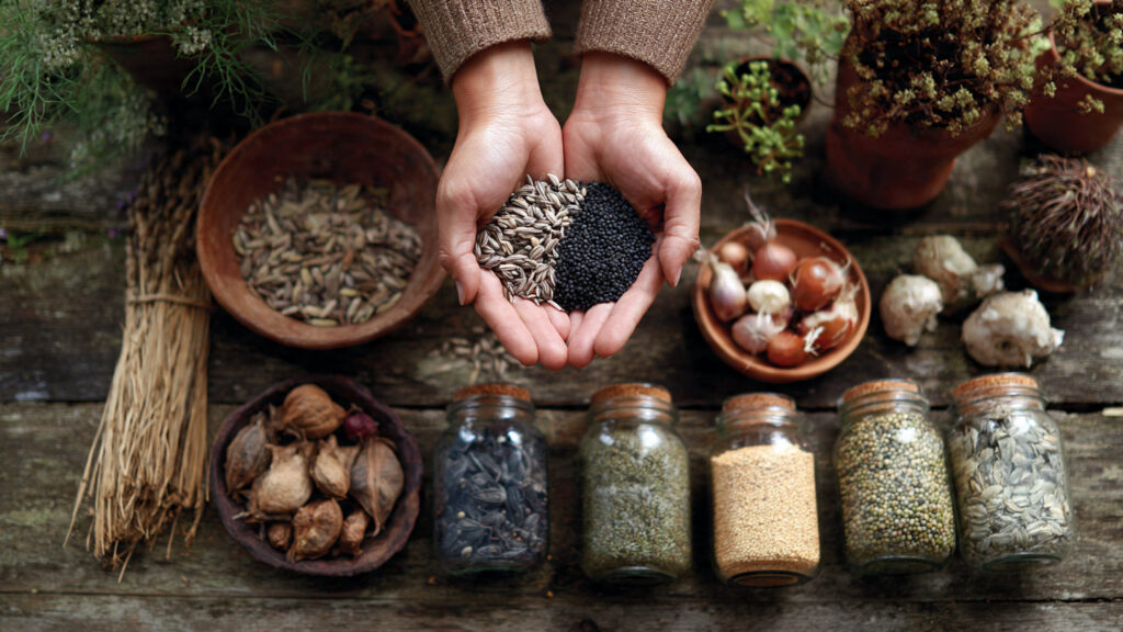 How Can You Save Seeds From Your Garden Like a Pro?