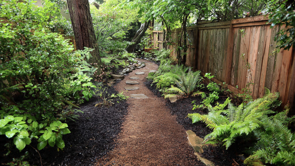 How Can You Transform a Dull Side Yard into a Hidden Woodland Path?