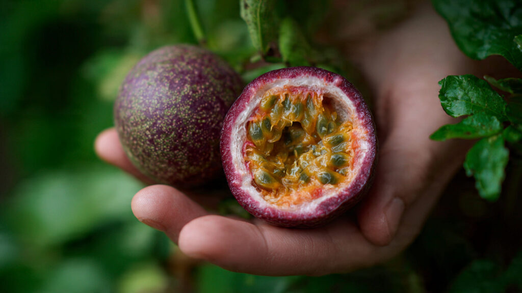 How to Grow Passion Fruit from Seed – Step-by-Step Guide
