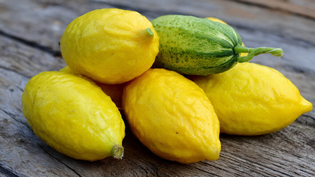 How to Successfully Grow Lemon Cucumbers in Your Backyard Garden