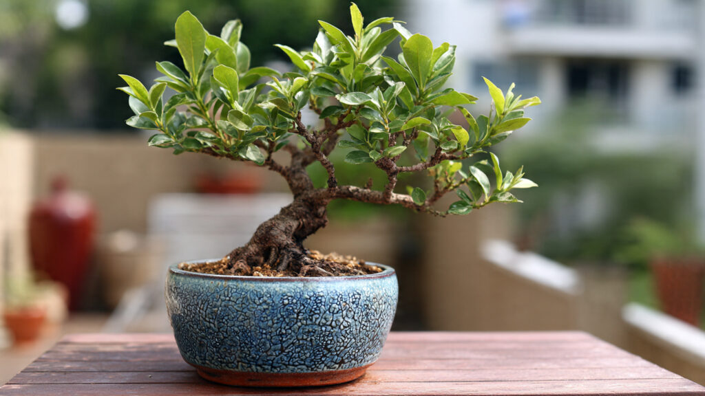 How to Train Guava Plant Into Dwarf Tree Form for a Beautiful Compact Garden