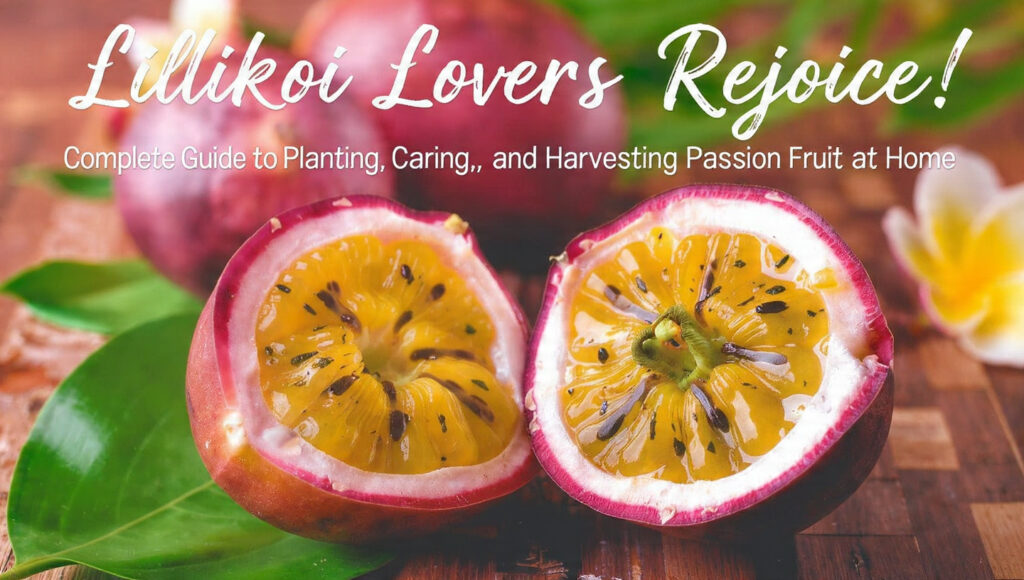 Lilikoi Lovers Rejoice! Complete Guide to Planting, Caring, and Harvesting Passion Fruit at Home