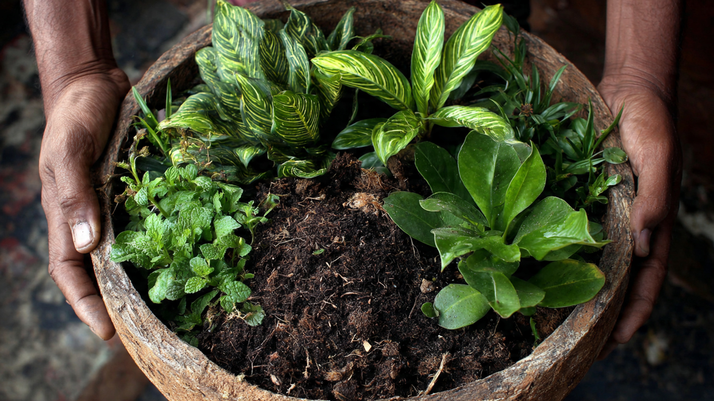 Turn Kitchen Waste Into Gold: 100% Natural Compost Making Ideas at Home ...
