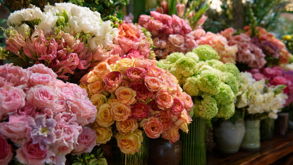 What Are the Best Tips for Growing Massive Blooms on a Budget?