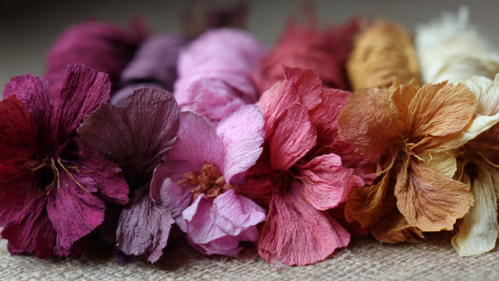 Which Flowers Offer the Best Natural Dyes for Home Fabric Crafting?